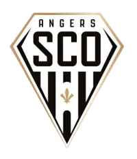 Logo St-Etienne