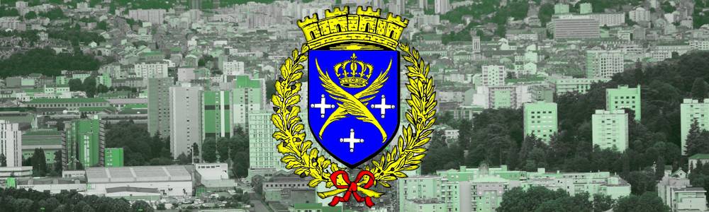 L Histoire Du Blason De Sainte