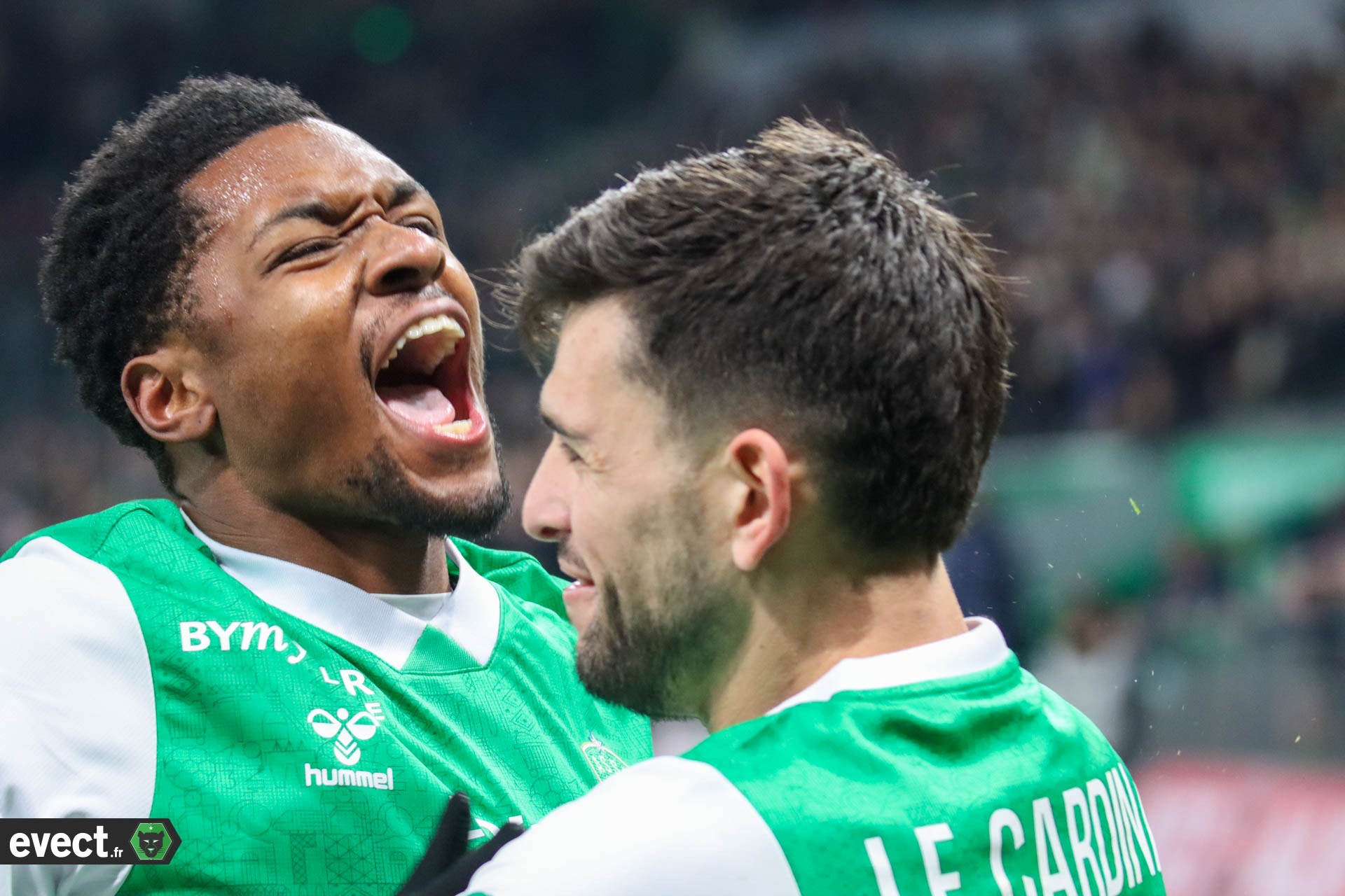 La volée de Le Cardinal et l'explosion du Chaudron vues de la pelouse #ASSE