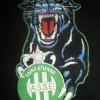 Votre avatar