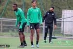 Titre article