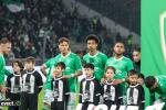 Ligue 1 - L'ASSE a un effectif à sécuriser