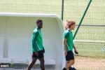 Titre article