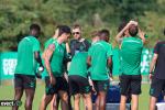 Titre article