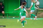 Titre article
