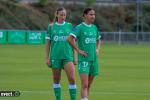 Titre article