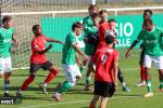 Titre article
