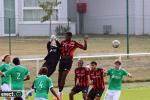 Titre article