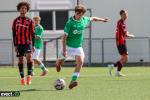 Titre article