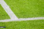 ASSE - La pelouse neuve de Geoffroy-Guichard déjà en réfection