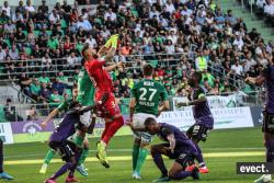 L1 : ASSE - TFC  - Photothèque