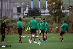 Entraînement des pros - Photothèque