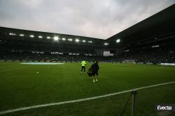 Tribunes : ASSE 0-1 LOSC - Photothèque