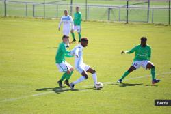 U19 : ASSE 0-1 OM - Photothèque