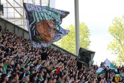 Tribunes : ASSE - SCO - Photothèque