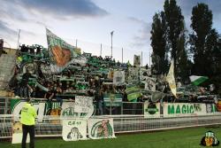 Tribunes : DFCO - ASSE - Photothèque