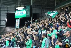 Tribunes : ASSE - MHSC - Photothèque