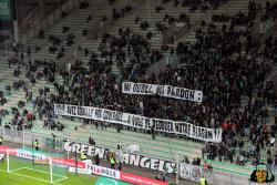 Tribunes : ASSE - RCSA - Photothèque