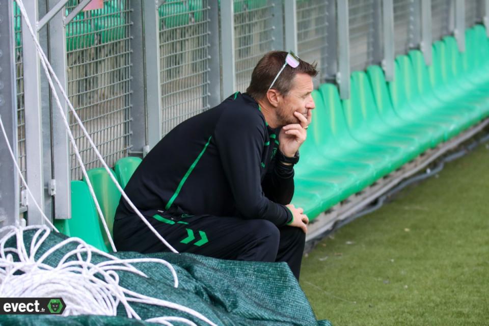 Mercato - Horneland : 