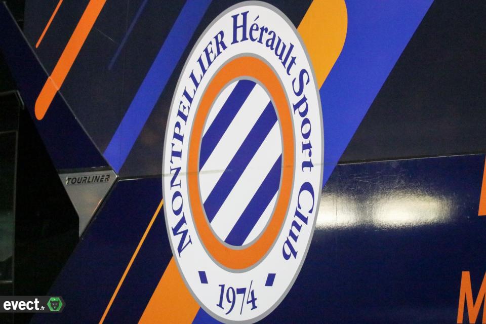 Ligue 2 - Le MHSC prochainement vendu à un groupe anglais ?